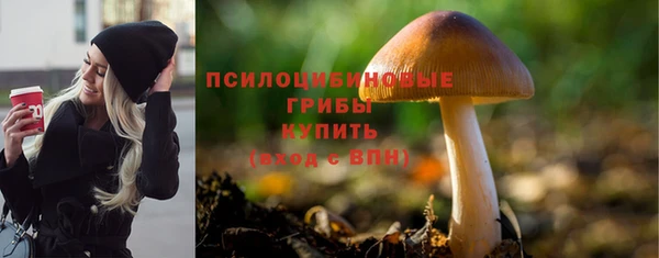 apvp Надым