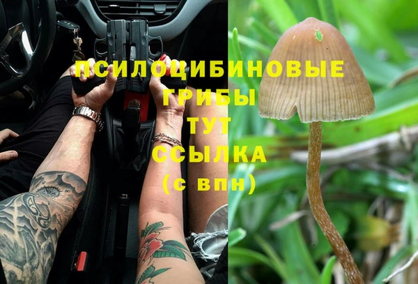 герыч Навашино
