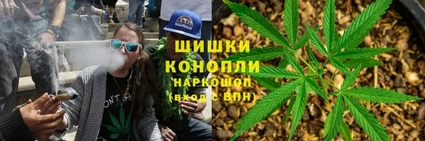 apvp Надым
